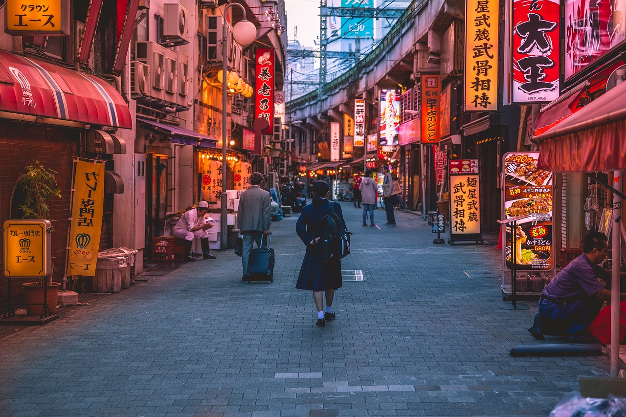 Die Kultur und Geschichte Japans erleben